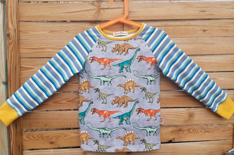 Raglanshirt aus Jersey